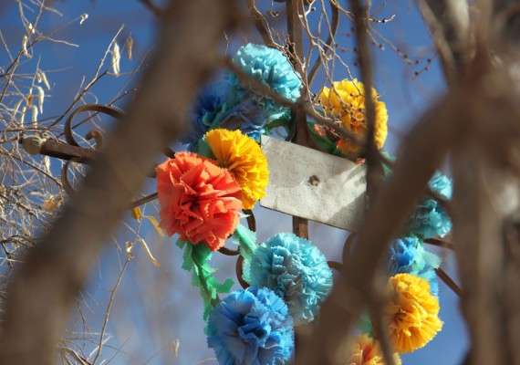 Humahuaca – As Flores Não Morrem